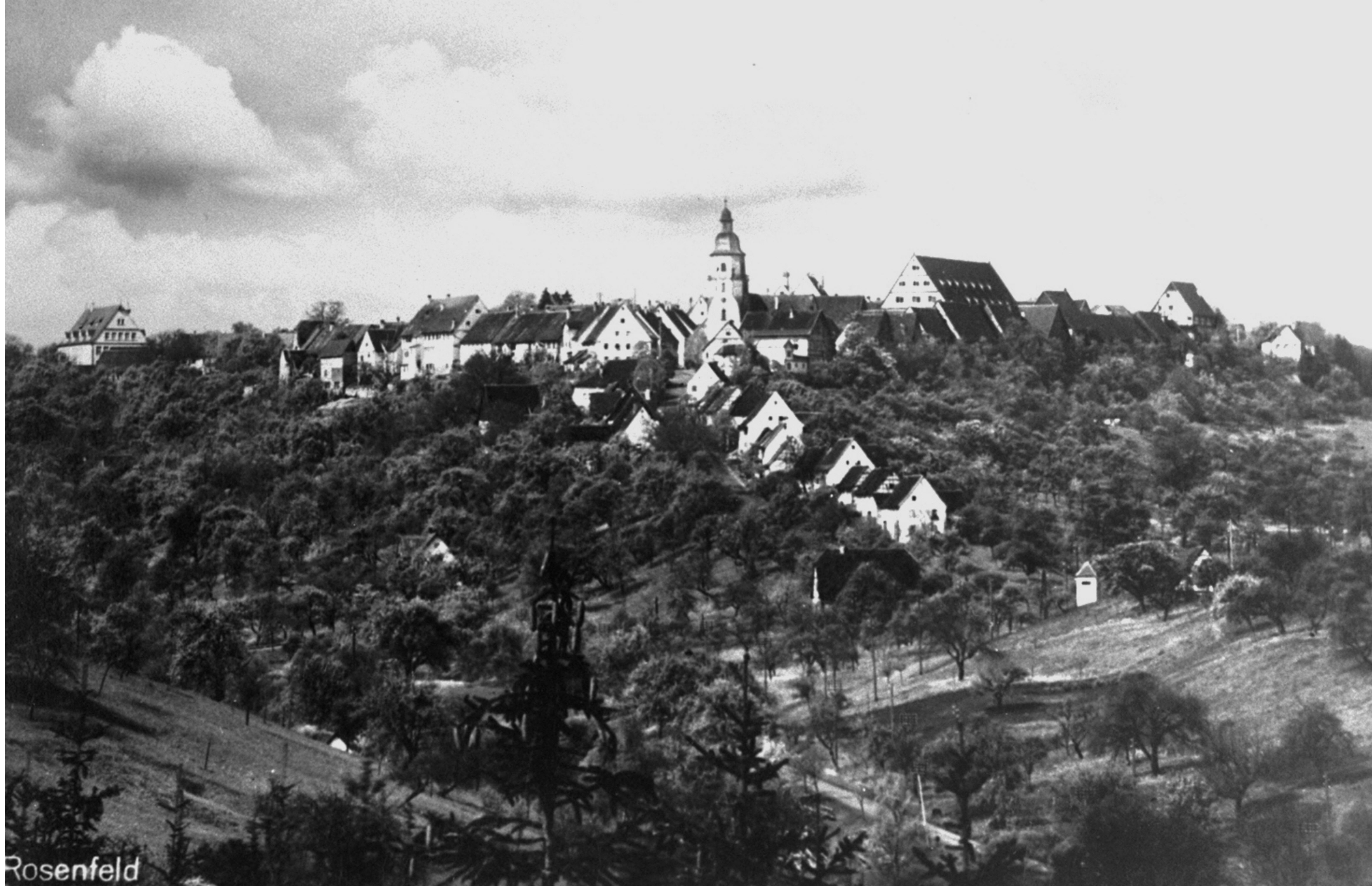 mendgen_10