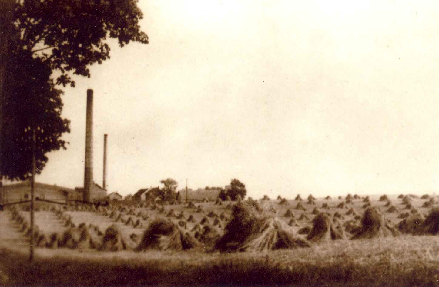 ziegeleifoto0601